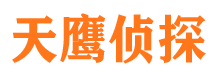 蓝田侦探